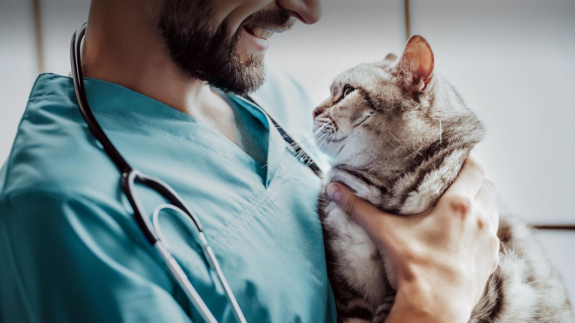 Beylikdüzü Veteriner